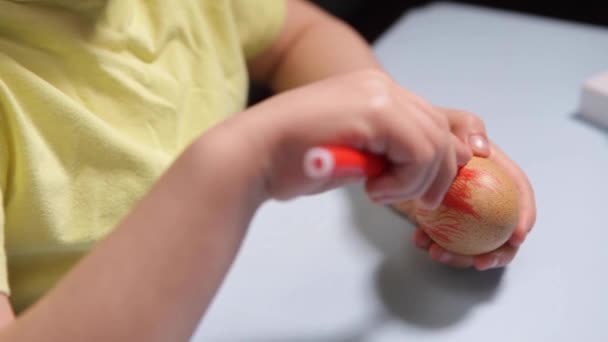 Ett litet barn målar ett påskägg. — Stockvideo
