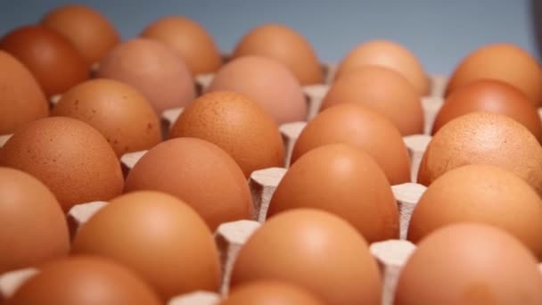 Chicken egg packaging on a blue background. — Stock Video