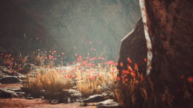 Dağlarda kayalar olan çakıl yolu.