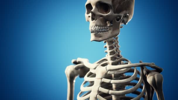 Full human skeleton standing — Stock Video