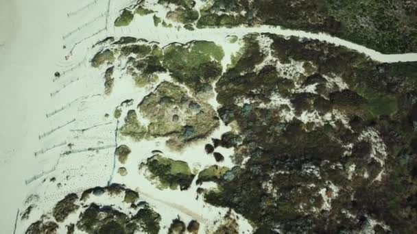 Drohne aus der Vogelperspektive auf grasbewachsene Sanddünen in der Strandlandschaft — Stockvideo