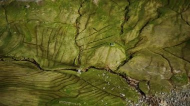 Faroe Adaları 'ndaki yeşil manzaranın havadan görünüşü
