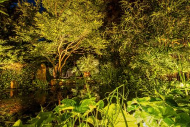 Berlin 'de cennet aydınlatması Einem Kleinen Gartenteich