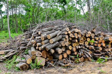 Bir yığın odun, evi ısıtmak için hazırlandı, bir yığın doğrandı ve kış için odun yığını hazırlandı..