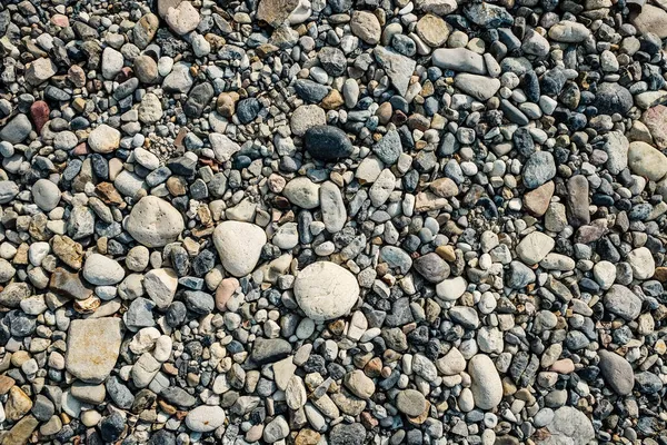 Balvan Oblázková Pláž Říční Kameny Pozadí — Stock fotografie