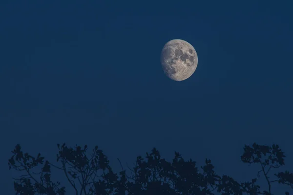 Lune Isolée Dans Ciel Nocturne Sombre Sans Étoiles Visibles Images De Stock Libres De Droits