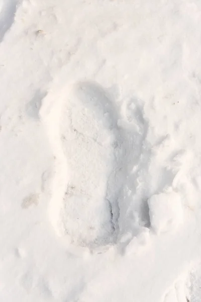 Fußabdrücke Schnee Unter Sonnenlicht Aus Nächster Nähe — Stockfoto