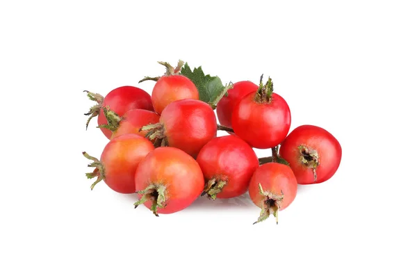 Weißdornbeeren Mit Blatt Isoliert Auf Weißem Hintergrund — Stockfoto