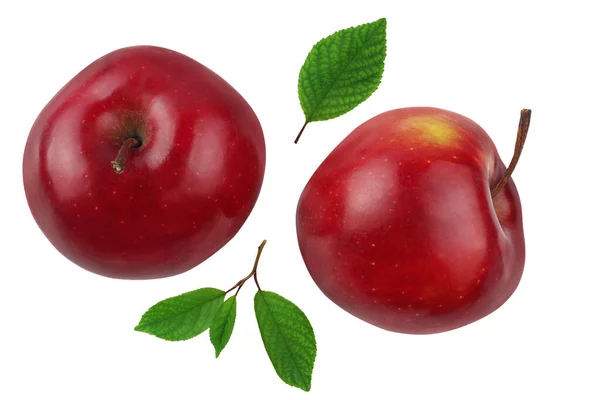 Яблоки Красные Два Изолированные Белом Фоне — стоковое фото