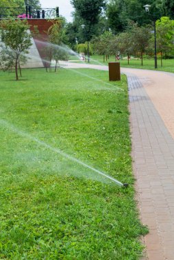Bir yaz günü çimen sulama sisteminin bulanık görüntüsü. Sulama sistemi.