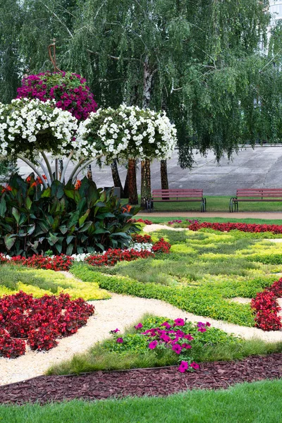 Blurred Image Beautiful Large Flower Bed Park Summer Day — Stock Photo, Image