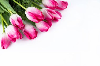 On a light background with a place for writing text, a blurred image of delicate white-pink tulips. Romantic background.