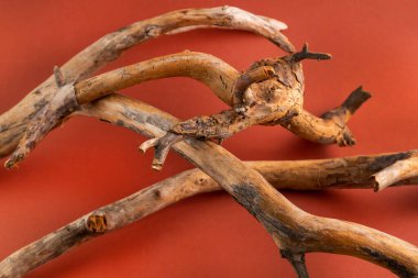 Blurred image of rough dry branches on a brown background. Abstract background.