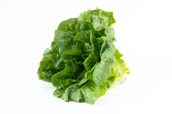 Beyaz Arka Planda Sulu Yeşil Salata Sağlıklı Yemek — Stok fotoğraf