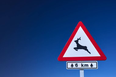 Mavi gökyüzüne karşı tehlikeli trafik işaretini geçen bir hayvanın ayrıntıları