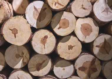 Kesilen odunların şöminedeki ayrıntıları