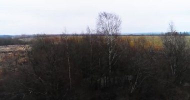 Ormanın üzerinden tarlalara uçun.