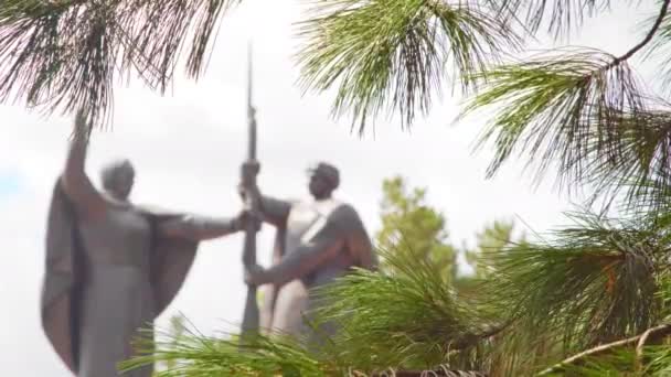 크리스마스 트리 배경에 대항 한 제2 차 세계 대전 기념행사 — 비디오