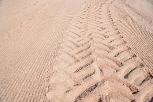 Tire Tracks Tropical Sandy Beach — Stock Photo, Image