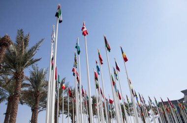 Mavi gökyüzüne ve palmiye ağaçlarına karşı rüzgarda dalgalanan çeşitli ülkelerin ulusal bayrakları