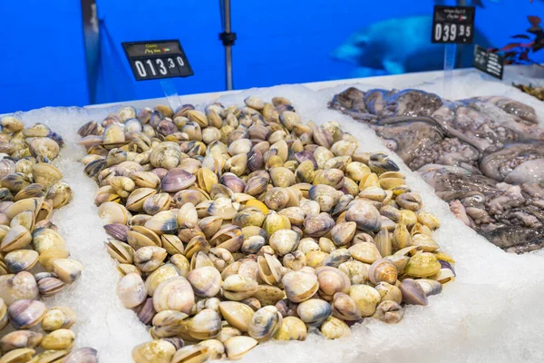 Clams in the Fish Counter of a supermarket — Stock Photo, Image
