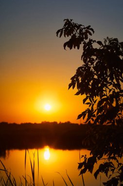 Kırsal bir nehir üzerinde güzel bir günbatımının dikey fotoğrafı ve ön planda ağaç yaprakları