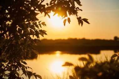 Gün batımında arka planda ağaç dalları ve odak dışında nehir manzarası
