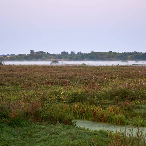 Square Photo Rural River Forest Fog Sunrise — Photo