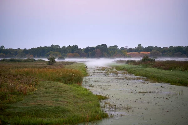 Güneşin doğuşu sırasında nehrin üzerinde sis ve arka planda ağaçların dikey fotoğrafı.