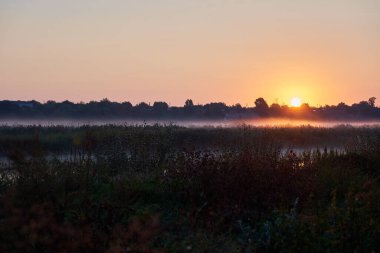 Günbatımı arka planında nehir ve çimlerin kırsal manzarası                               