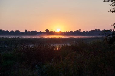 Günbatımı arka planında nehir ve çimlerin kırsal manzarası                               
