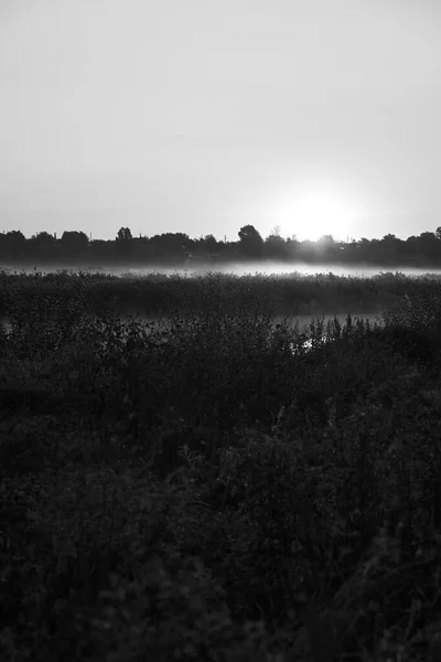 Pionowe Czarno Białe Zdjęcie Zachodu Słońca Nad Rzeką Lecie Trawą — Zdjęcie stockowe
