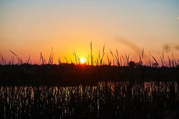 Beautiful Sunset Rural River Grass Foreground — Fotografia de Stock