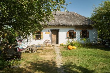 A classic Ukrainian village house with pumpkins in the frame and tree leaves in the foreground