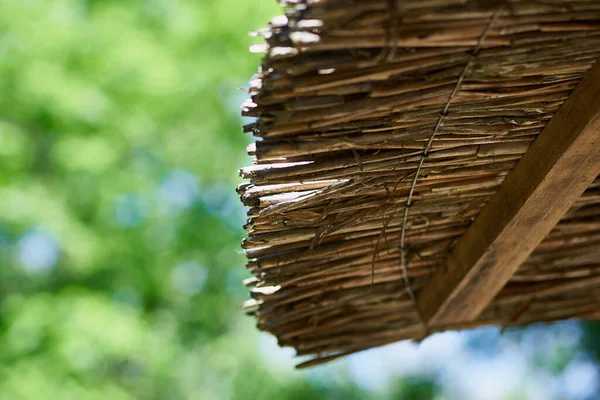 Close Edge Bamboo Roof Background Sky Green Trees Defocus — стоковое фото
