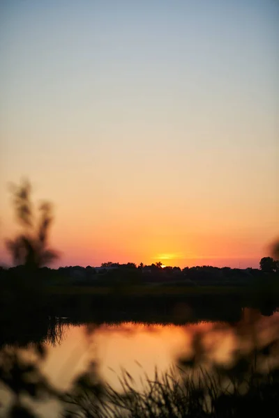Vertical Photo Sunset Rural River Tree Branches Foreground Defocused Summer — Stock Photo, Image