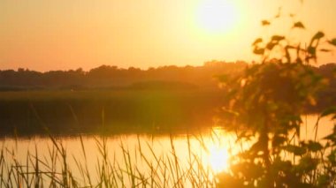 Kırsal bir nehir üzerinde güzel bir gün batımı ve ön planda çimenler.