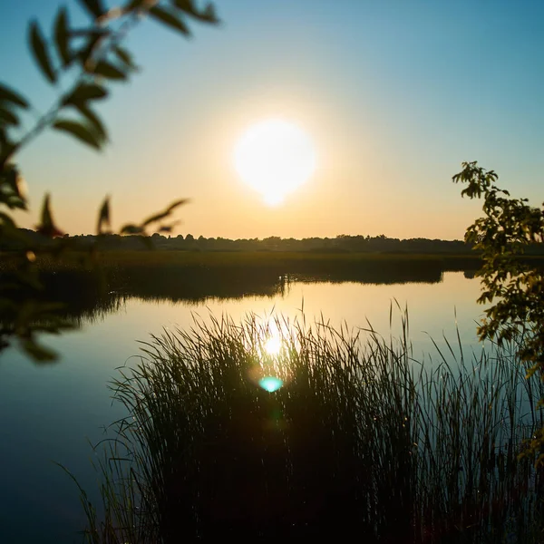 Square photo of rural river against blue sky background and grass leaves in foreground defocused during sunset