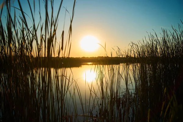 Sunset over a rural river with tussocks in the foreground out of focus
