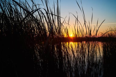 Sunset over a rural river with a blue sky in the background