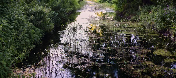 Panoramic photo of rural muddy river with greenery during sunset