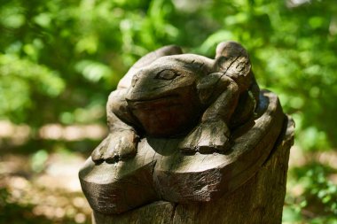 A wooden statue of a large frog in the shade of trees and leaves in the background in defocus