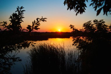 Sunset over a river with a blue sky in the background and bulrush leaves in the foreground in defocus