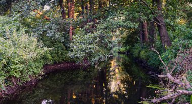 Panoramic photo of rural muddy river with greenery during sunset