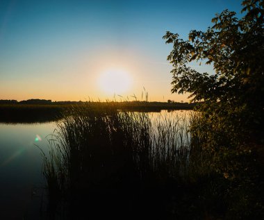 Yaz günbatımının kare fotoğrafı. Arka planda mavi bir gökyüzü ve ön planda fıskiyeli yapraklar olan bir nehir üzerinde.