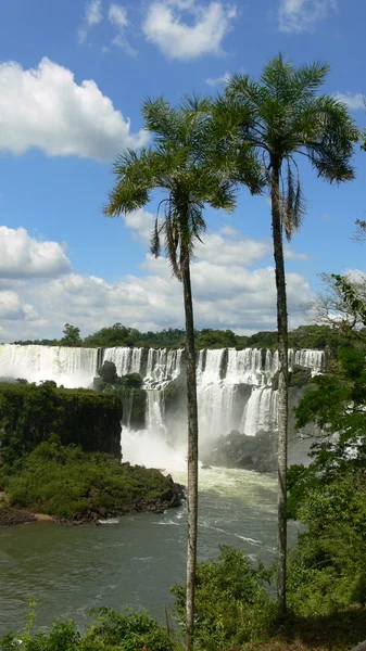 Palm och vattenfall — Stockfoto