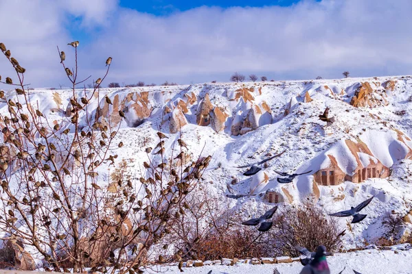 Schöne Landschaft Von Tauben Fliegen Kappadokien Taubental Uchisar Türkei Schar — Stockfoto