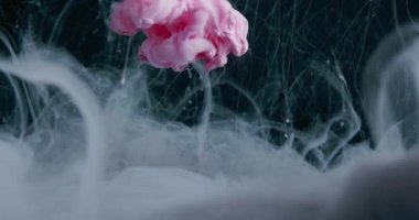 Purple Color Cloud. Ink Or Paint Mixing In Water. Slow Motion. Black Background. Abstract Motion Backdrops, Transitions, Art Effect.