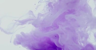 Purple Color Cloud. Ink Or Paint Mixing In Water. Slow Motion. Black Background. Abstract Motion Backdrops, Transitions, Art Effect.