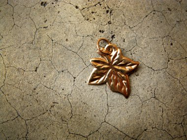 akçaağaç yaprağı